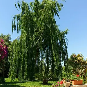 La Casa Dei Sogni Bed & Breakfast